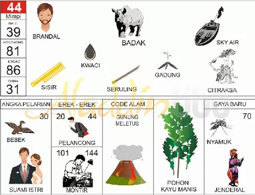 buku mimpi erek erek togel 44