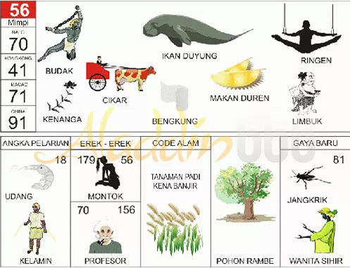 buku mimpi erek erek togel 56