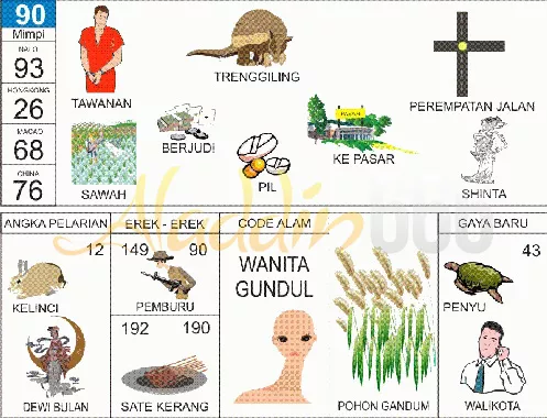 buku mimpi erek erek togel 90